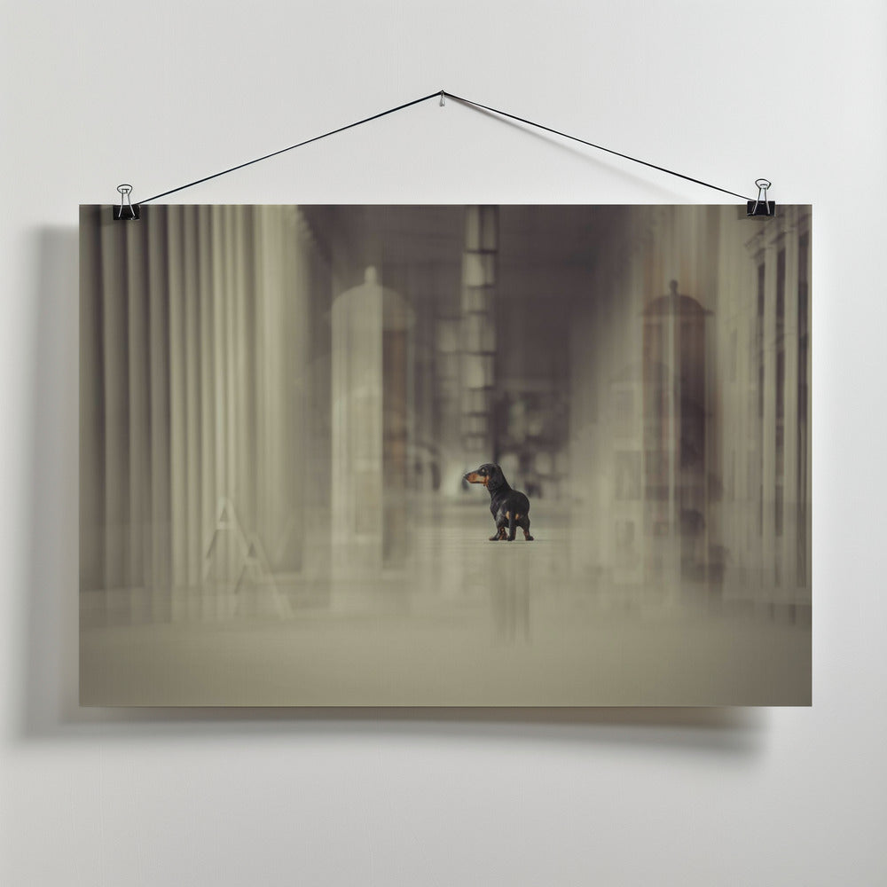 Art Prints of No way out...