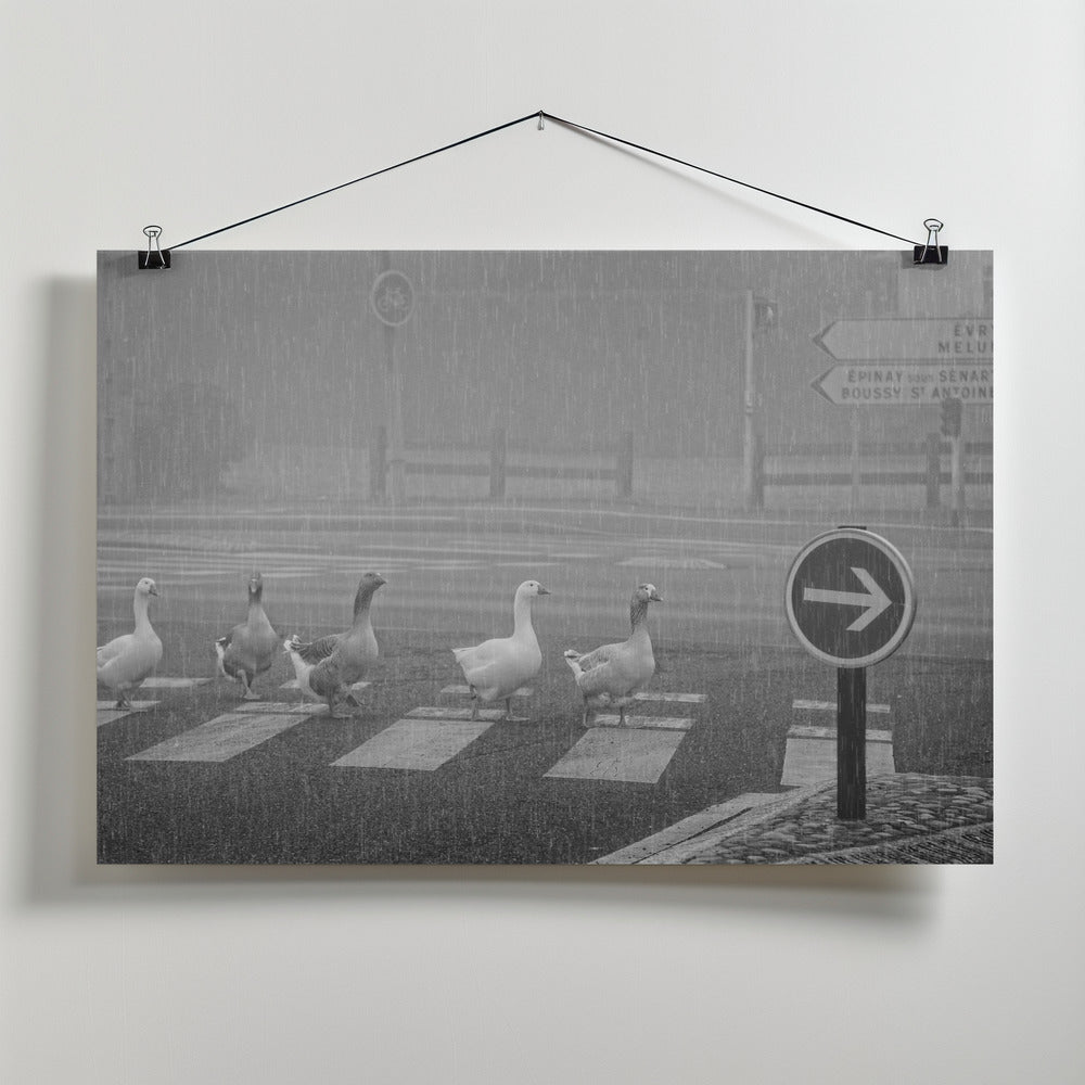Art Prints of pedestrians