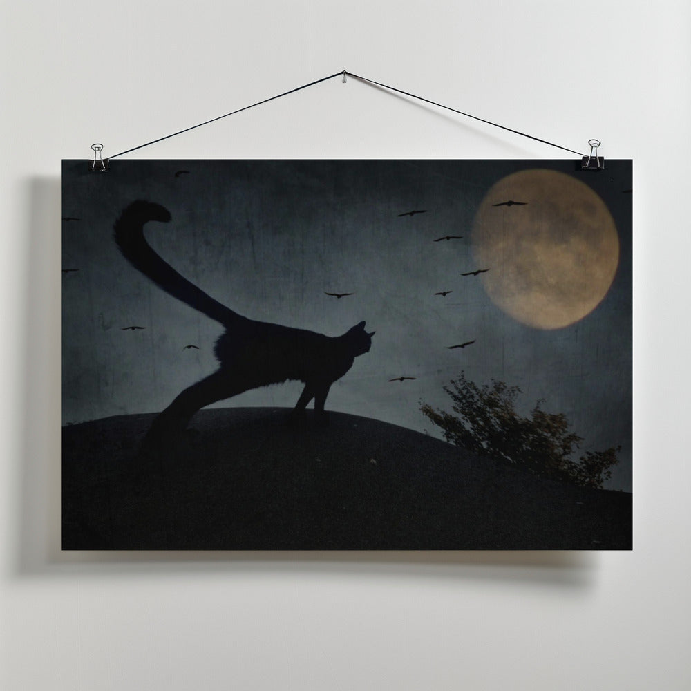 Art Prints of the curious tail of the cat filemon...