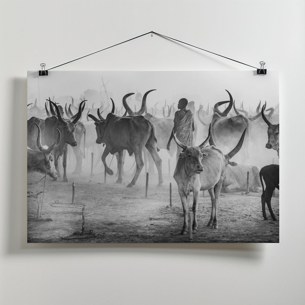 Art Prints of Biblical