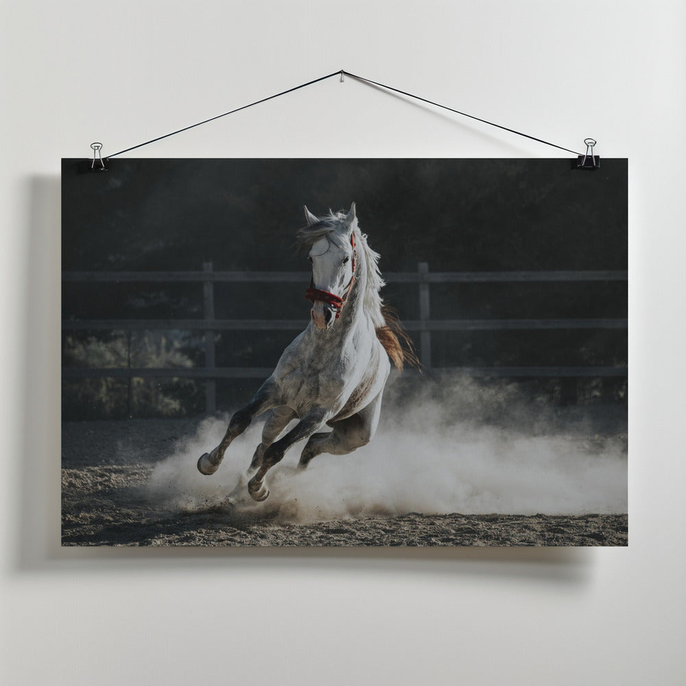 Art Prints of ... ::: Doludizgin ::: ...