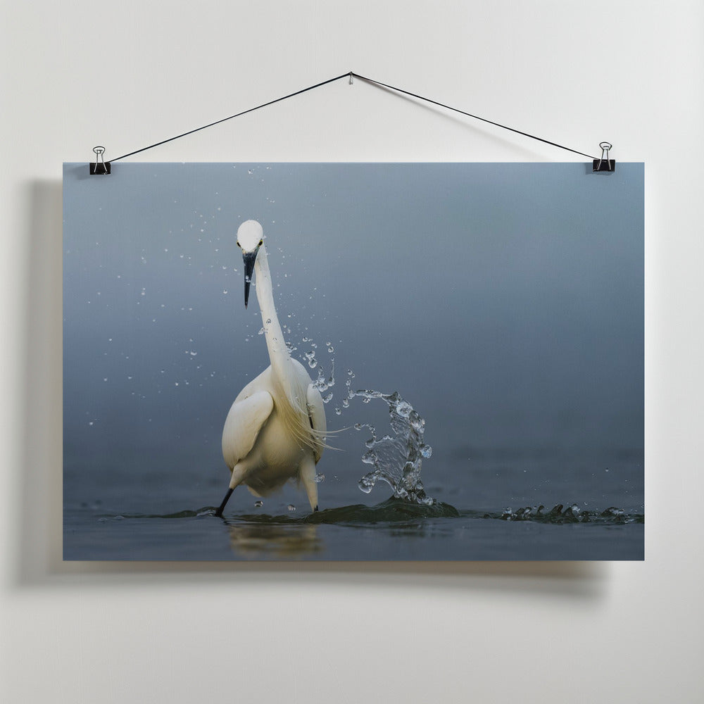 Art Prints of Splash