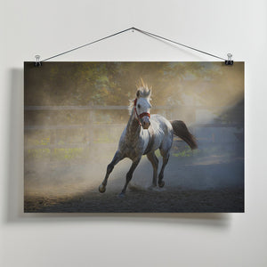 Art Prints of ... ::: Altın Yele ::: ...