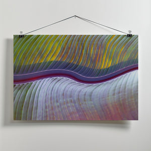 Art Prints of The flood plains, abstractly