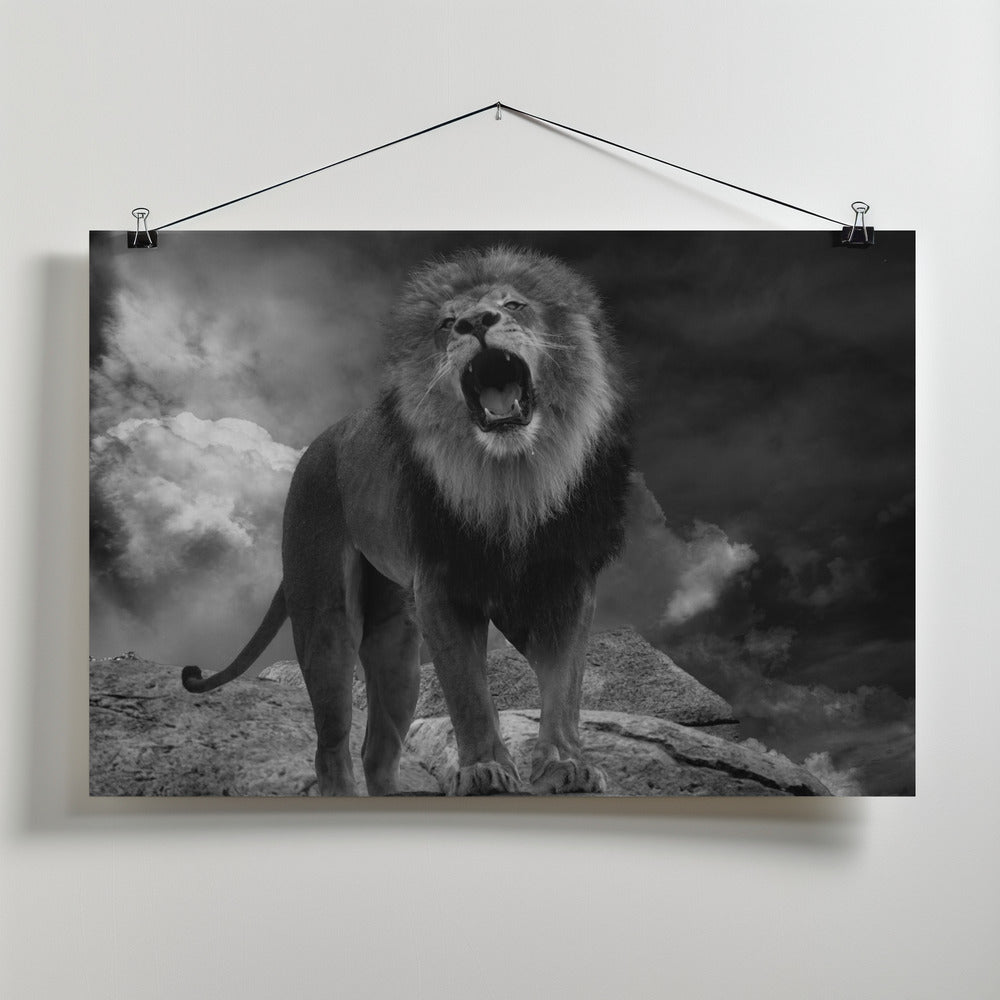 Art Prints of Lion's Roar