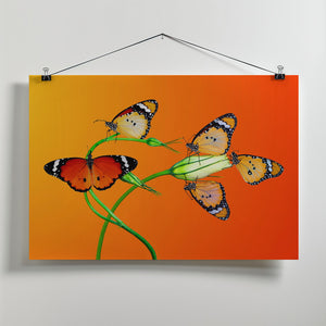 Art Prints of Family