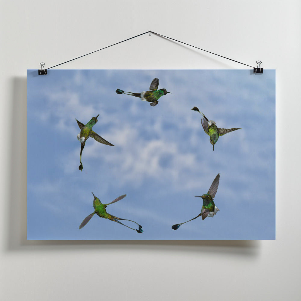 Art Prints of Joy of Flight