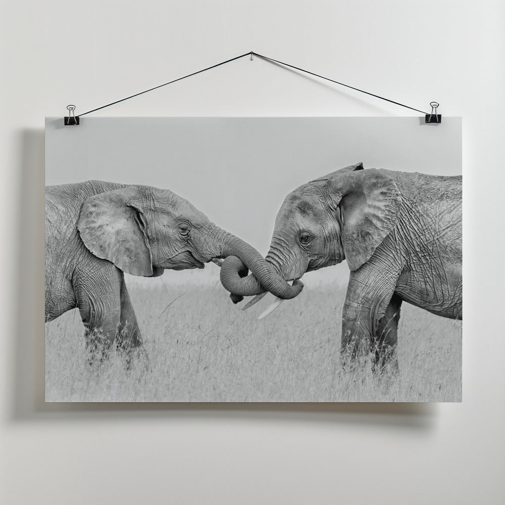 Art Prints of Confrontation