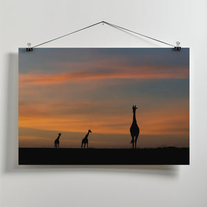 Art Prints of 𝐒𝐡𝐢𝐧𝐞 𝐛𝐫𝐢𝐠𝐡𝐭 𝐥𝐢𝐤𝐞 𝐚 𝐝𝐢𝐚𝐦𝐨𝐧𝐝