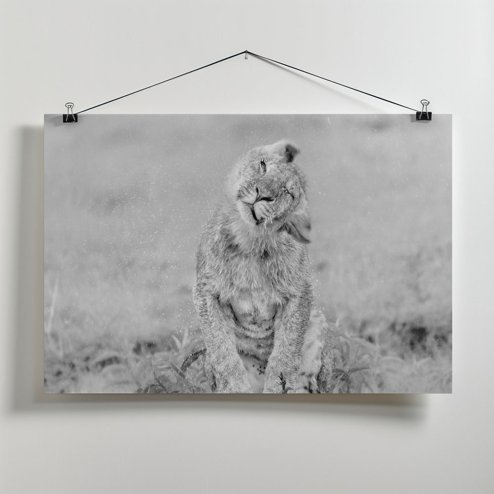 Art Prints of In the Rain