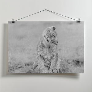 Art Prints of In the Rain