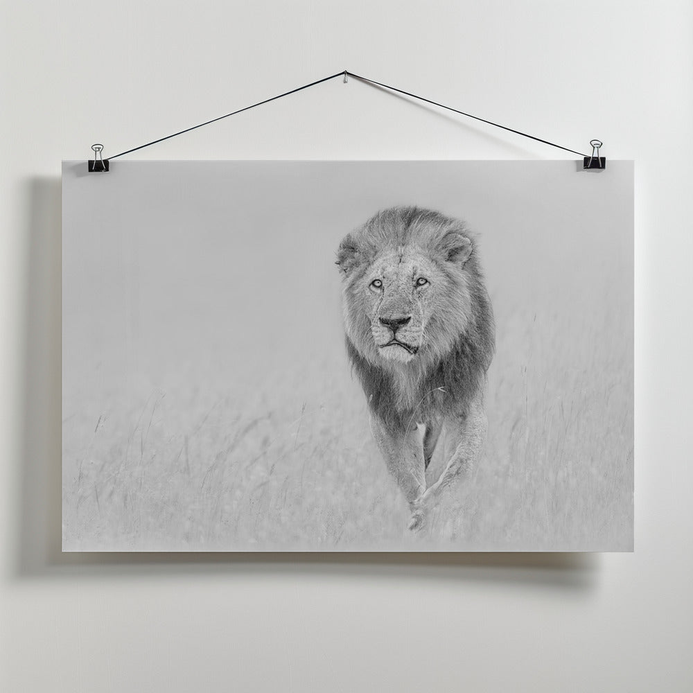 Art Prints of The King of The Prairie