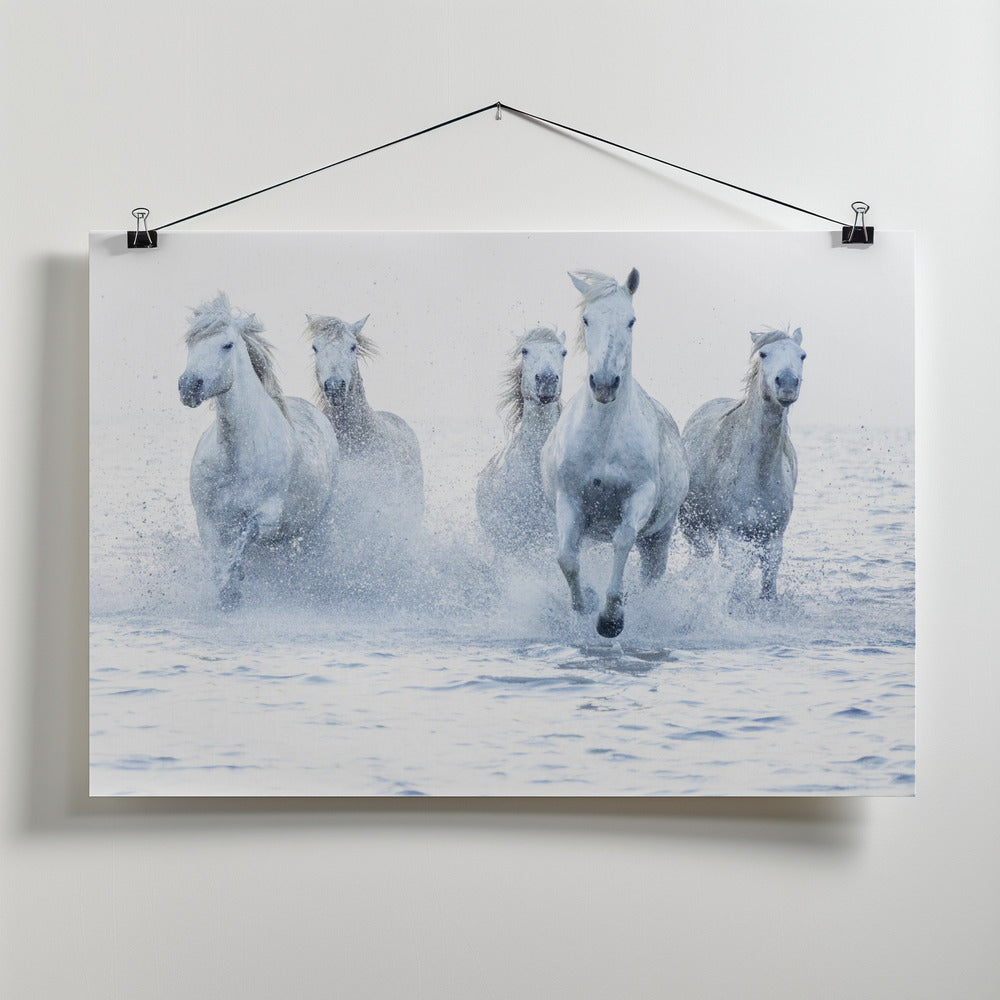 Art Prints of Horses on the Run