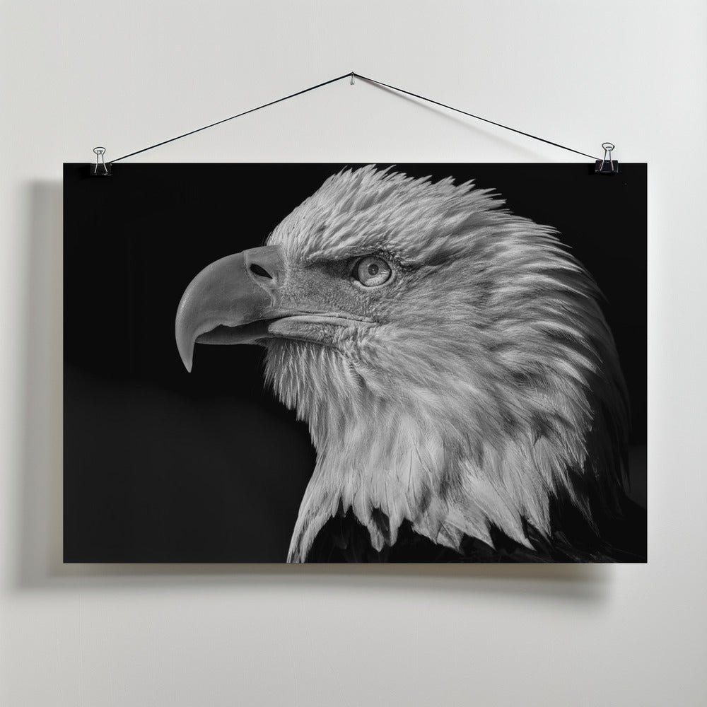 Art Prints of The eye