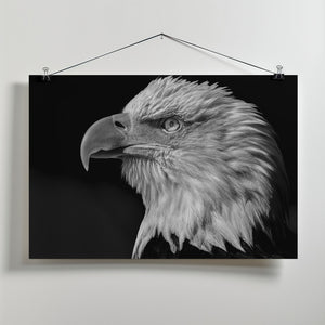 Art Prints of The eye