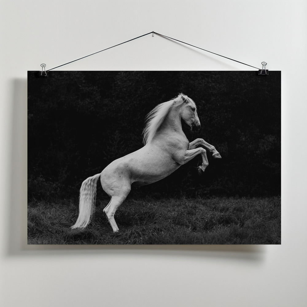 Art Prints of a short story of a blade of grass in a hoof