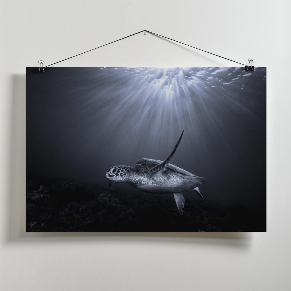 Canvas Art Print The deep