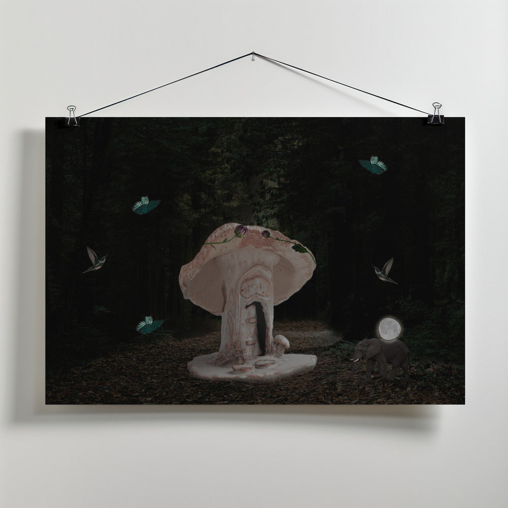 Art Prints of Mushroom