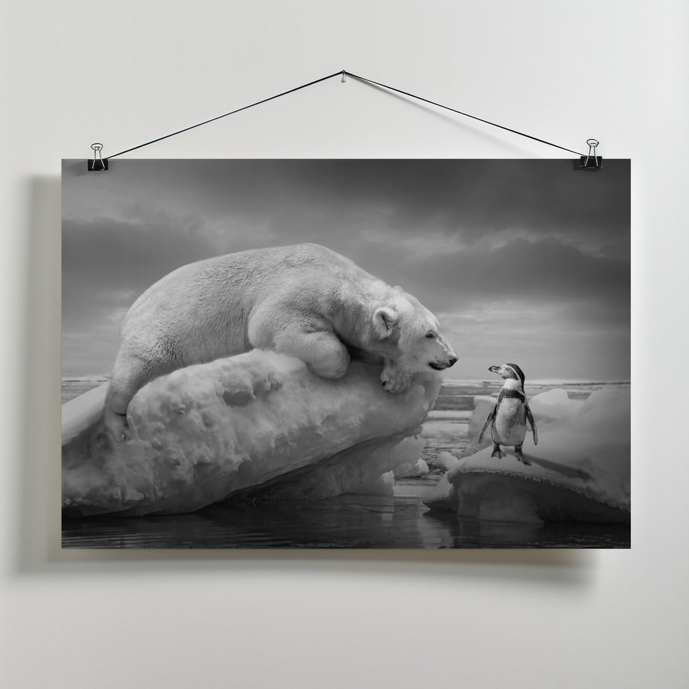 Canvas Art Print PolarFriends