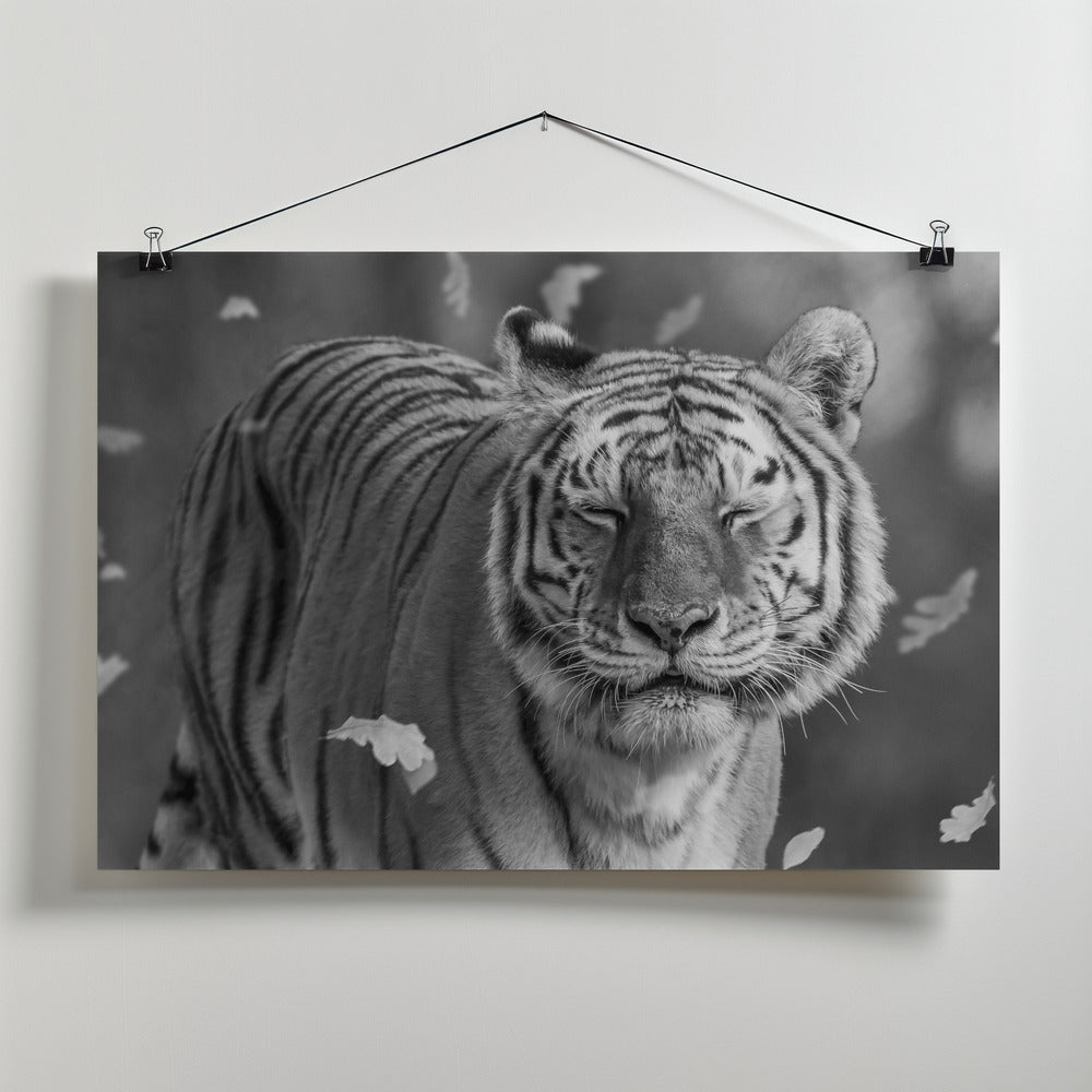 Canvas Art Print Tiger in The Motion
