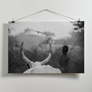 Art Prints of Boy and Cow