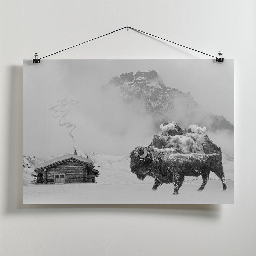 Canvas Art Print Bison