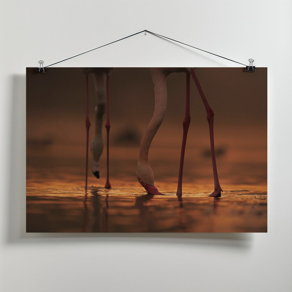 Canvas Art Print Drinking Life ....