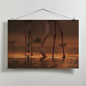 Canvas Art Print Drinking Life ....