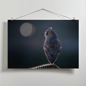 Canvas Art Print Night Watcher