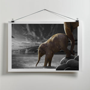 Art Prints of The Push