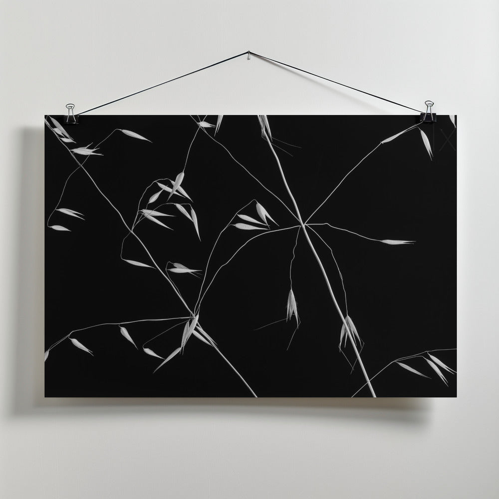 Art Prints of Crossed Lines