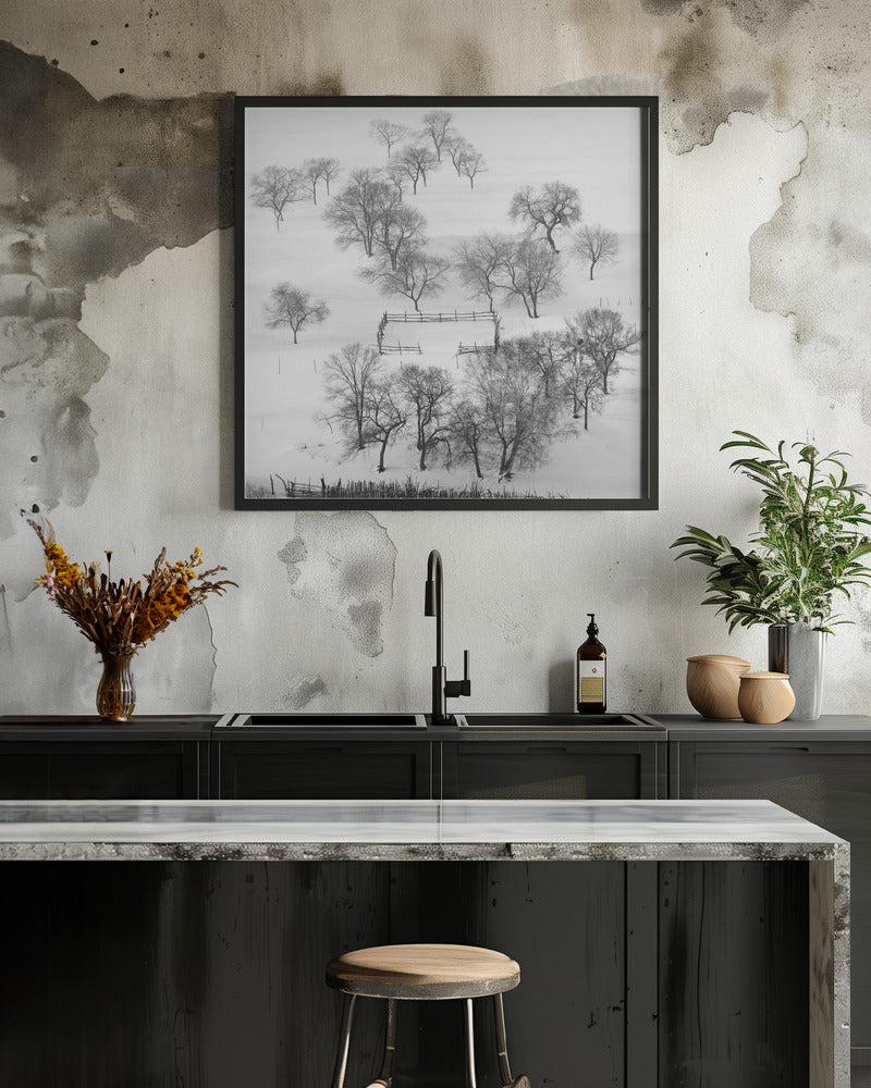 Black and white world, quietly waiting.