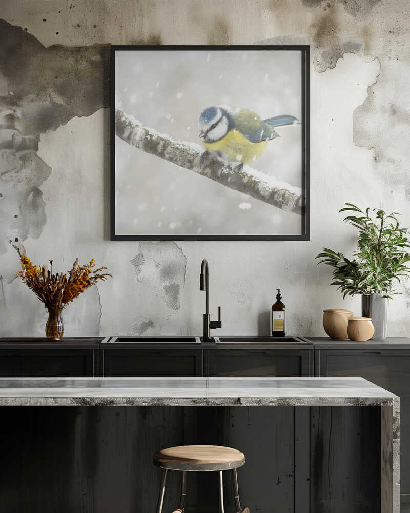 blue tit in a snowstorm