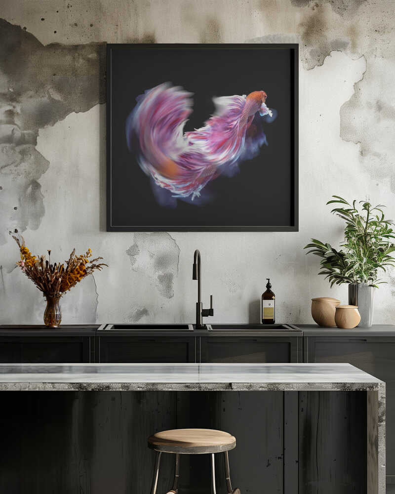 Bettafish Dance Motion