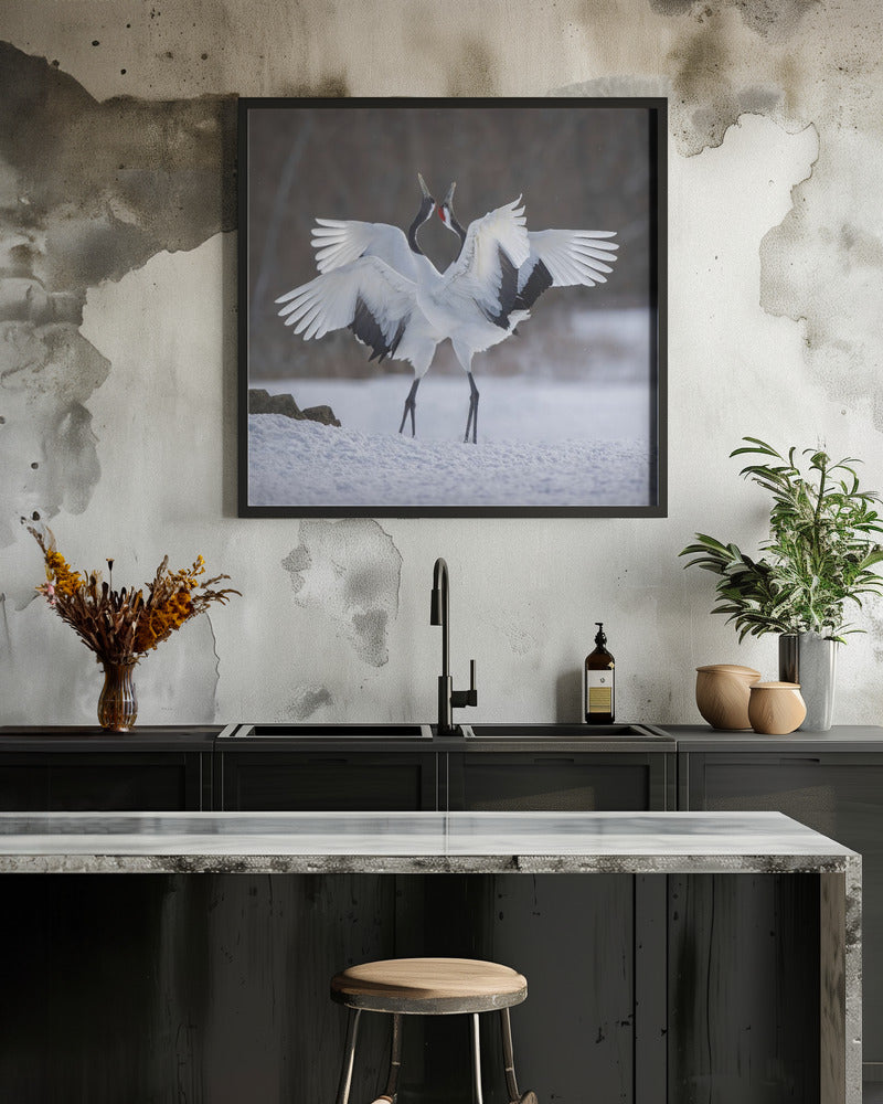 Red-crowned Crane dance