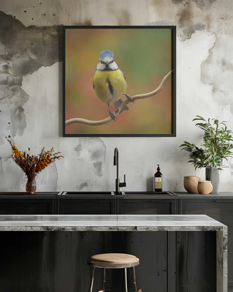 Bad hair...bad mood?