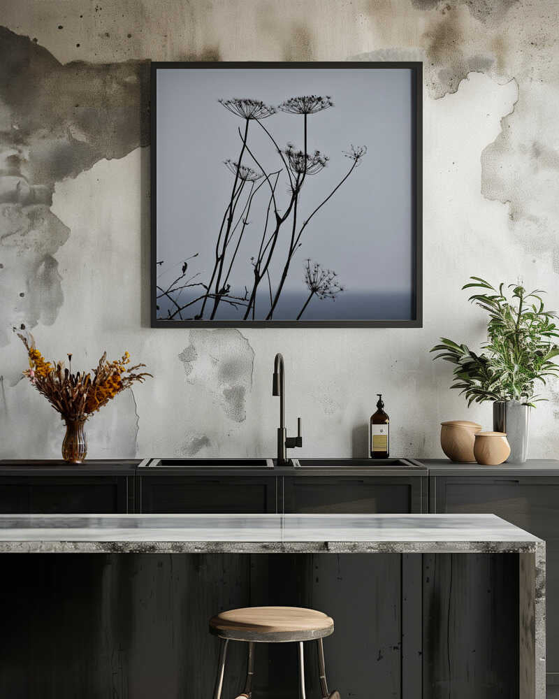 Seed Head Silouettes