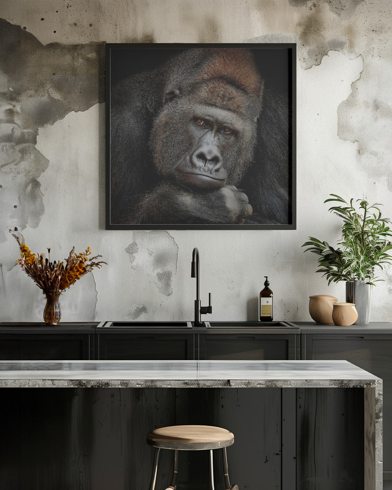 ONE MOMENT IN CONTACT