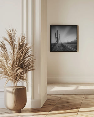 Art Prints of SAGUARO NATIONAL PARK Setting Sun | Monochrome