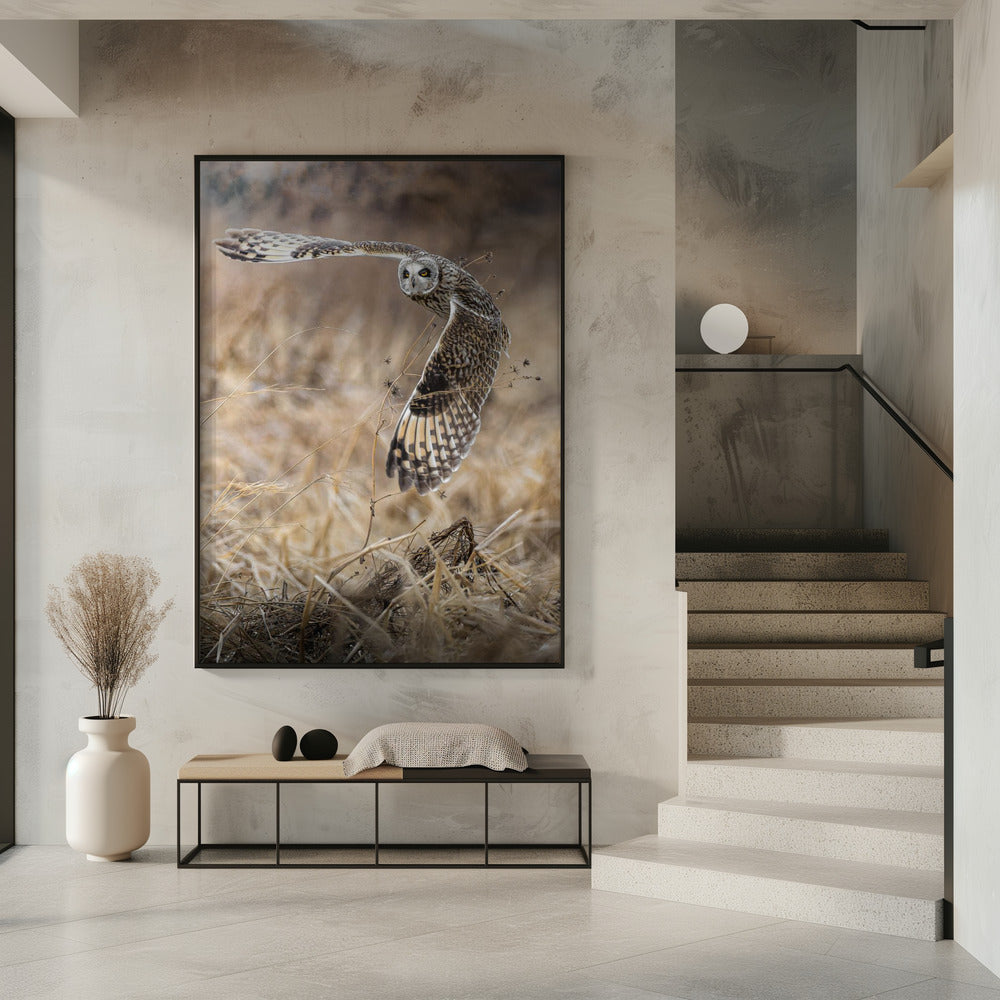 Art Prints of fly into the sky