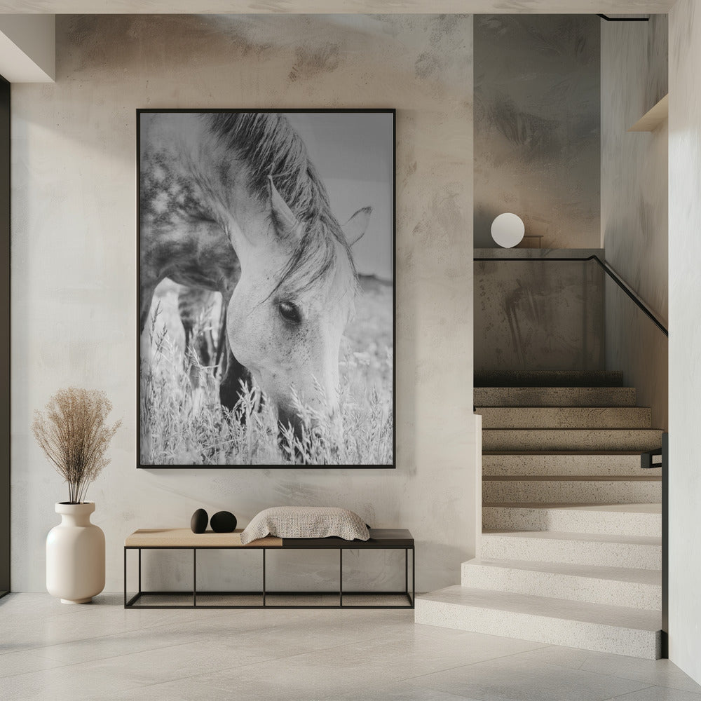 Art Prints of stallion