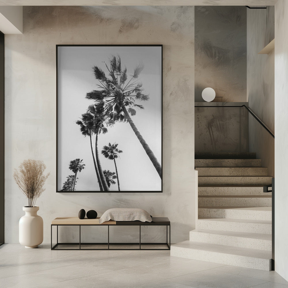 Art Prints of Palm trees in the sun | monochrome