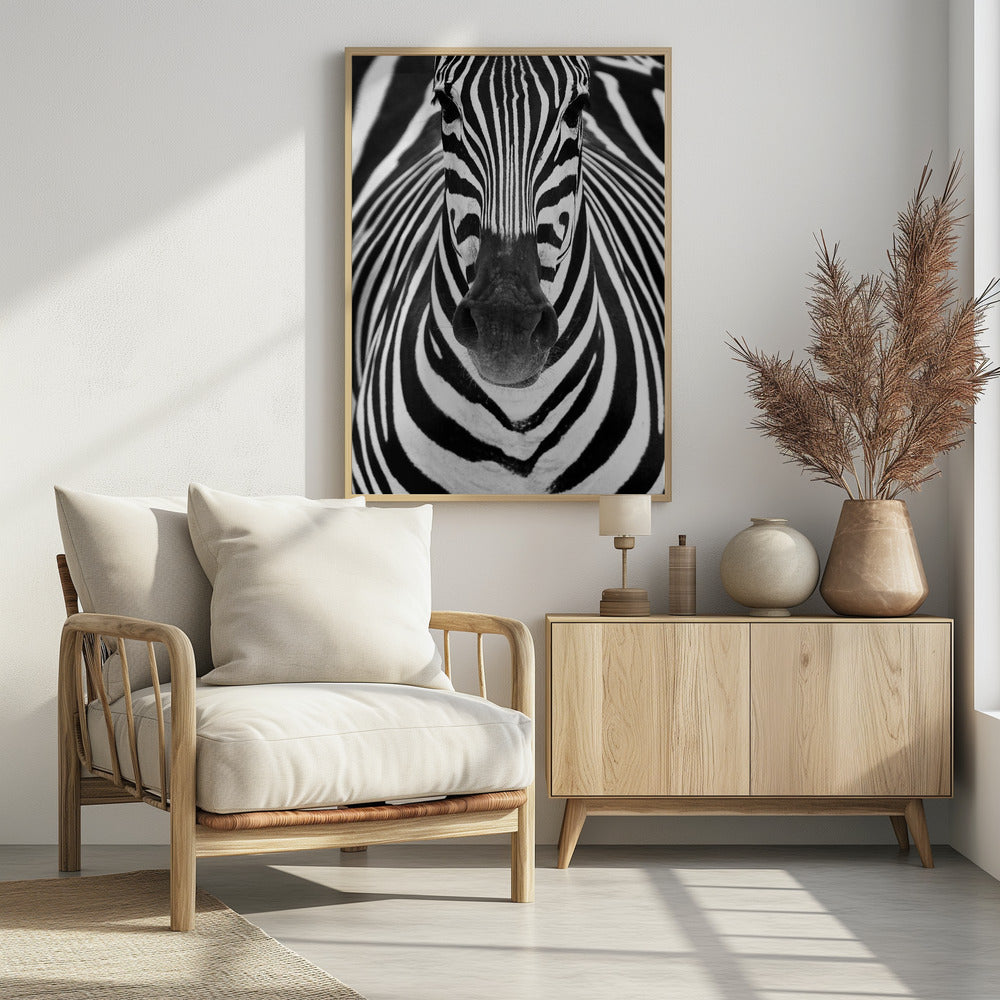Art Prints of ZEBRA