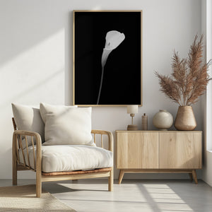 Art Prints of Calla | dark design