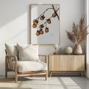 Art Prints of Persimmon (1920)