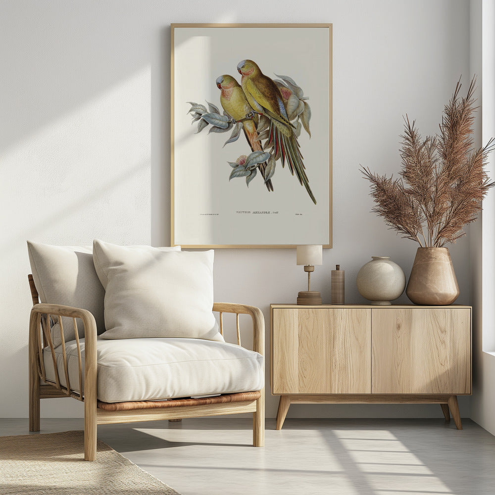 The Princess of Wales's Parakeet