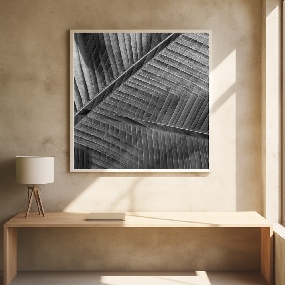 Art Prints of Banana lattice.