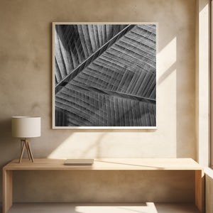 Art Prints of Banana lattice.