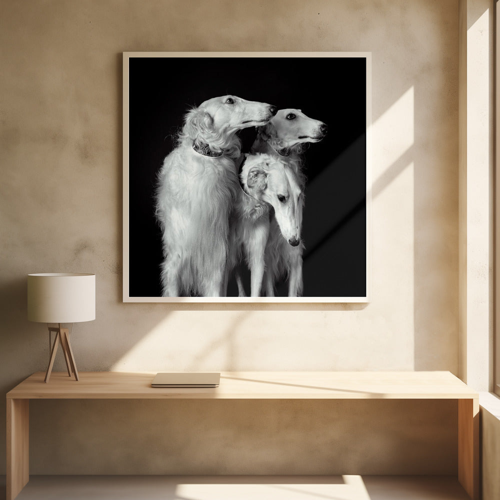 Art Prints of 3 of a kind