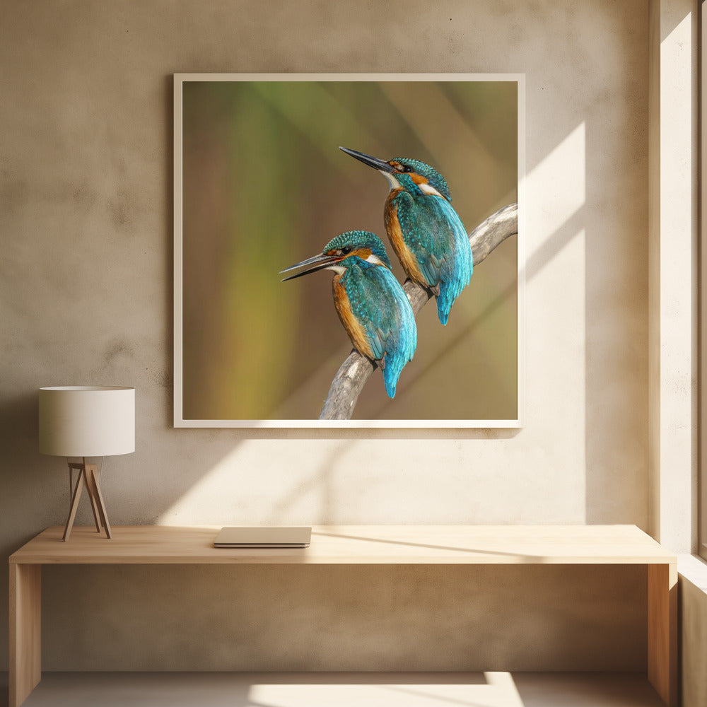 Canvas Art Print Duo